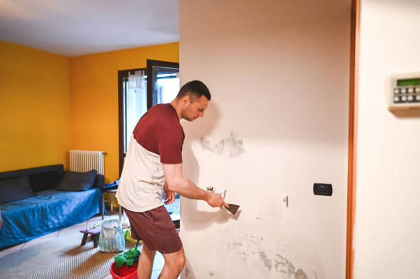 Best Mold Testing  in Edgewater, NJ